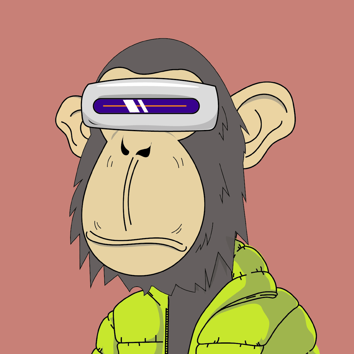 meta ape#5_special